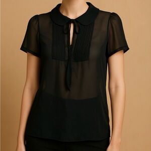 American Eagle Outfitters Black Sheer Blouse Size Medium